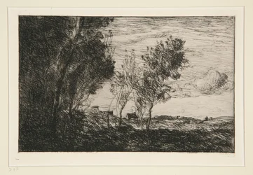 In The Dunes: Memory of the Woods of the Hague