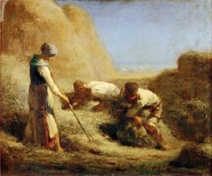 The Haymakers