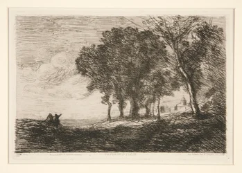 Landscape of