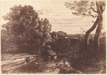 Shepherd