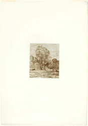 The Cow Pasture