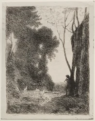 The Little Shepherd