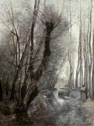The Stream