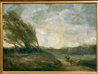 Windswept Landscape