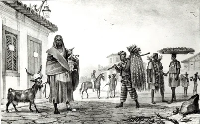 House for Rent, Horse and Goat for Sale, from 