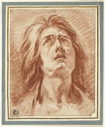 Distress: Head of a Woman Looking Upwards