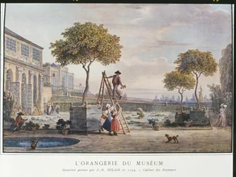 The Orangerie at the Museum in Paris in 1794