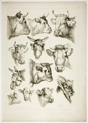Plate 35 of 38 from Oeuvres de J. B. Huet