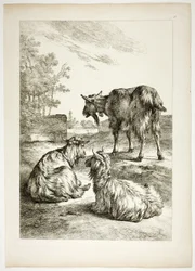 Plate Eighteen of 38 from Oeuvres de J. B. Huet
