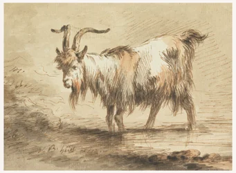 Study of a Goat, 1772