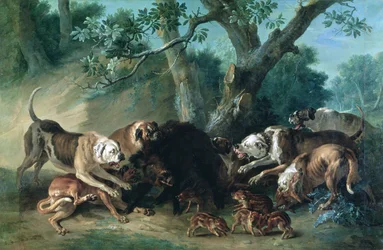 A Wild Sow and her Young Attacked by Dogs