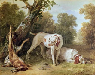 Dog and Hare