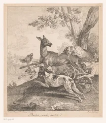 Deer Attacked by Hunting Dogs