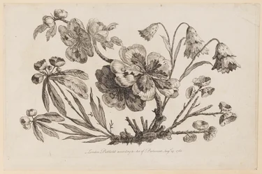Flower Boughs, from "Recueil de Fleurs de Chinois"