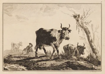 Plate 5, 