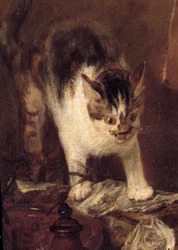 Still life with skate, fish, oysters and jug. Cat detail. 1727. 1.14 x 1.46 m. Paris, Louvre Museum
