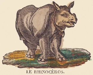 The rhinoceros, c.1840-1852