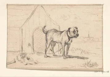 Leashed Dog, Standing in Front of Its Kennel