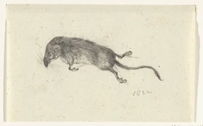 Dead Mouse