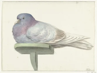 Dove Sitting on a Shelf