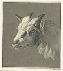 Head of a Goat, Facing Left