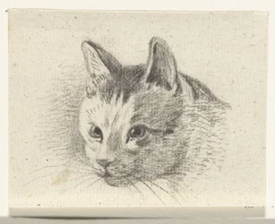 Head of a Cat