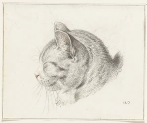 Head of a Cat, Facing Left