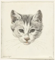 Head of a Cat, Seen from the Front by Candlelight