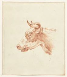 Head of a Cow, Facing Left