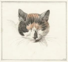 Head of a Calico Cat, Front View, with Closed Eyes