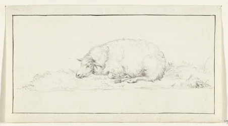 Lying sheep, to the left
