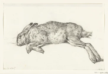 Lying Dead Hare