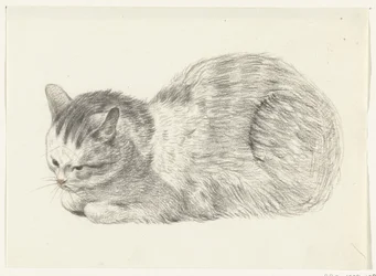 Lying Cat, Facing Left