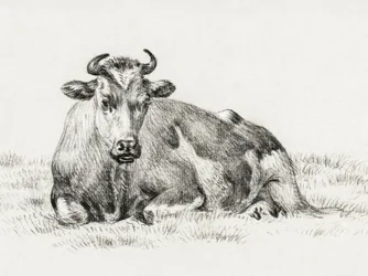 Lying Cow