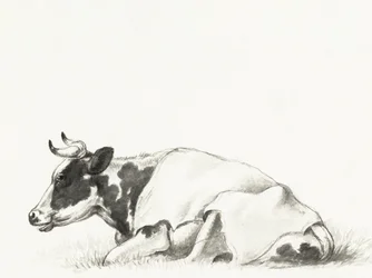 Lying Cow