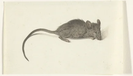 Mouse, Facing Right
