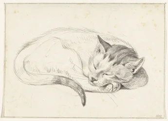Rolled Up Sleeping Cat