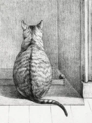 Sitting Cat, From Behind