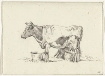 Standing Cow with Milk Bucket and Stool