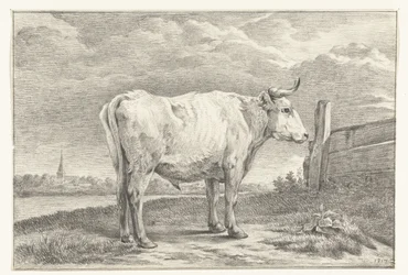 Standing Bull, Facing Right