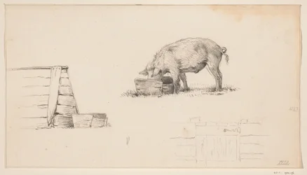 Pig, a Pen, and a Sketch of a Fence