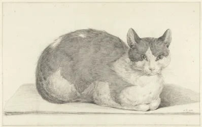 Seated Cat, Facing Right