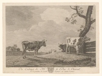 Three Cows in a Meadow