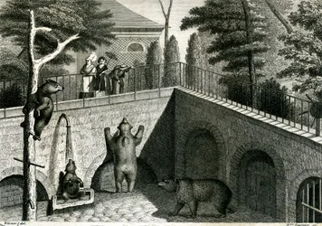Bear den in a zoo