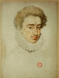 The future King Henry IV of France at the time of his marriage to Margaret of Valois