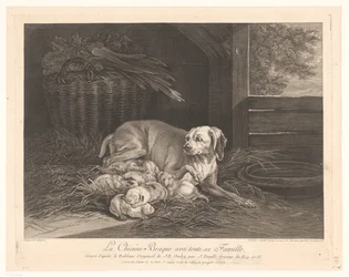 Bracke Dog with Puppies in a Stable