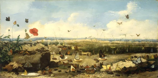 The Race of the Butterflies, 1872