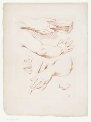 Composition with Arms, Nose, and Part of a Face