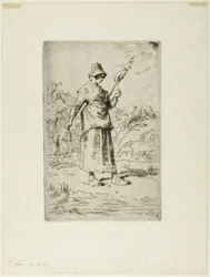 The Spinner