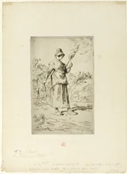The Spinner